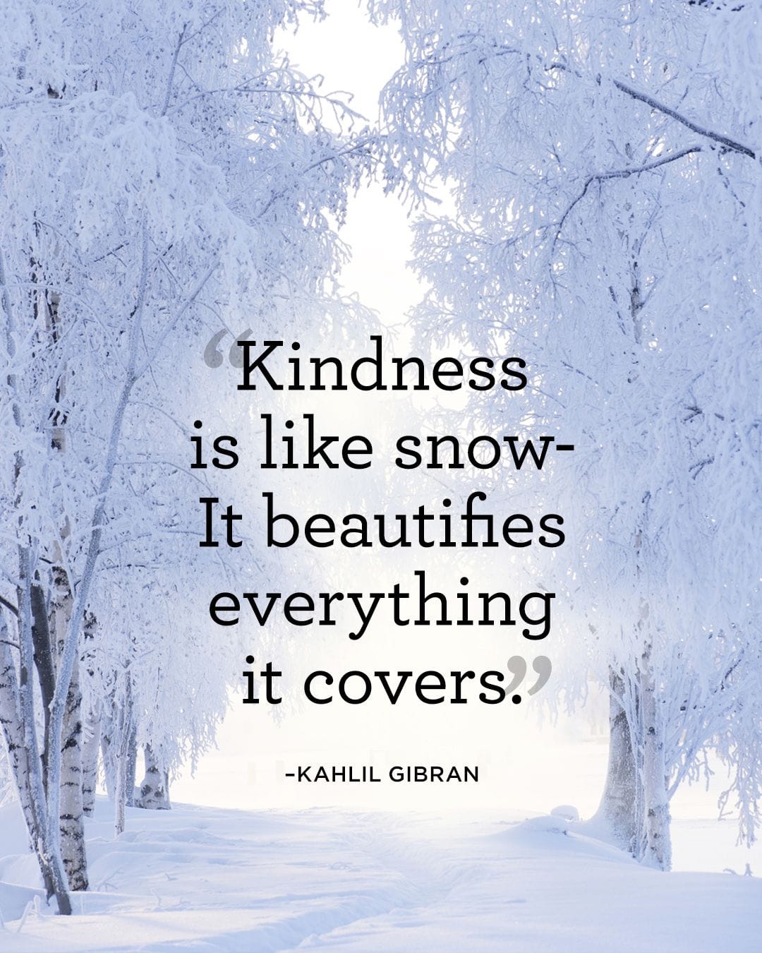 Kindness is like snow – It beautifies everything it covers. Kahlil Gibran