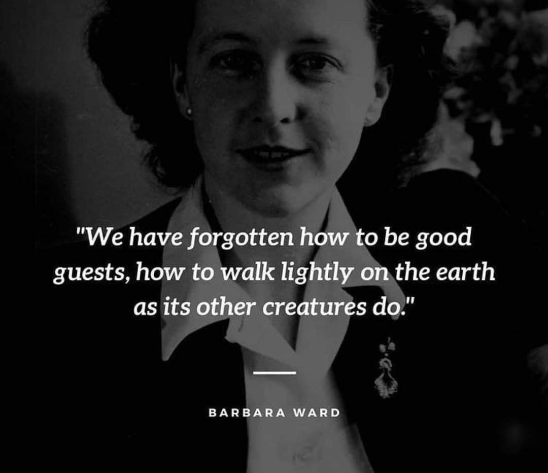 We have forgotten how to be good guests, how to walk lightly on the earth as its other creatures do. – Barbara Ward
