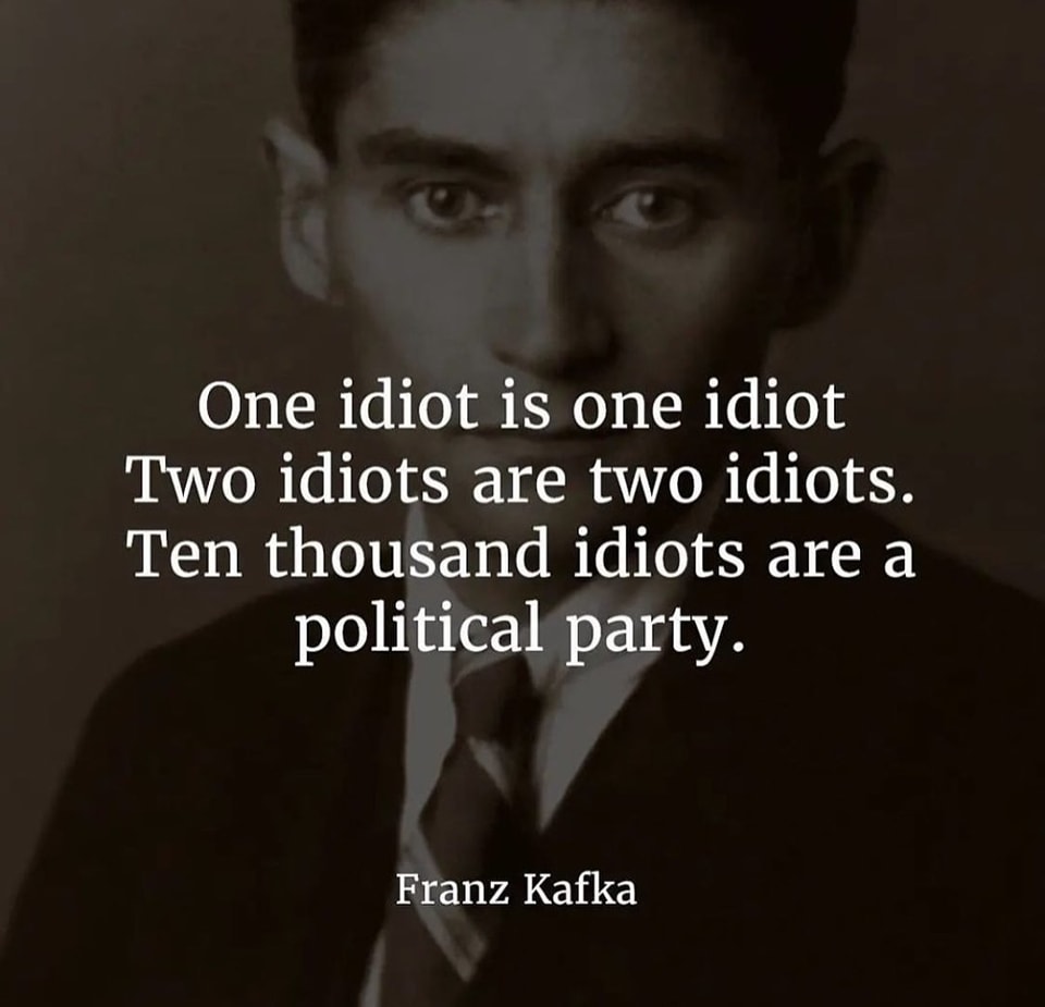 One idiot is one idiot. Two idiots are two idiots. Ten thousand idiots are a political party. – Franz Kafka