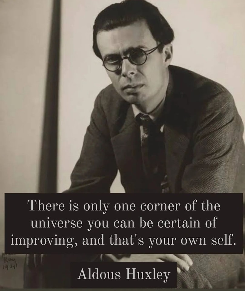 There is only one corner of the universe you can be certain of improving, and that’s your own self. Aldous Huxley