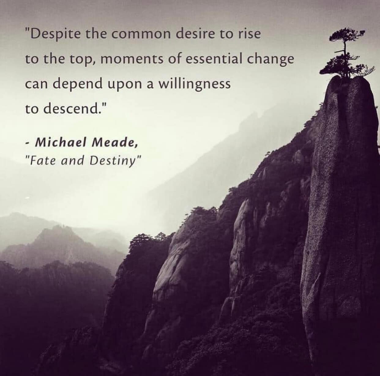 Despite the common desire to rise to the top, moments of essential change can depend upon a willingness to descend.