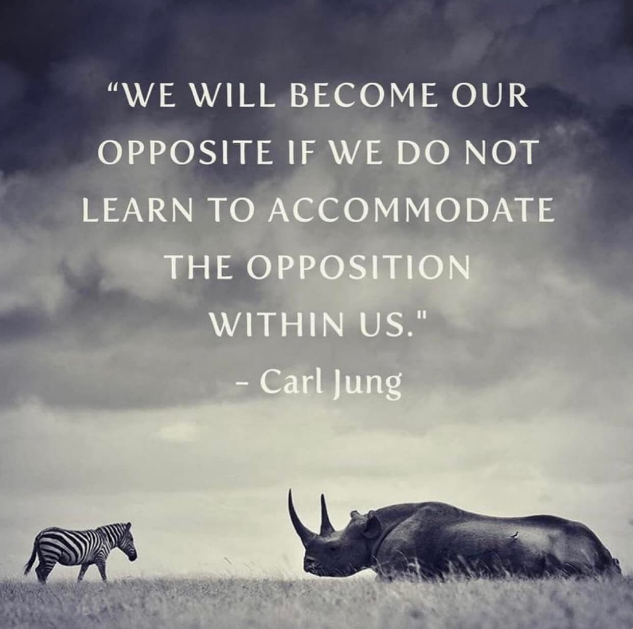 We will become our opposite if we do not learn to accommodate the opposition within us. ~ C. G. Jung