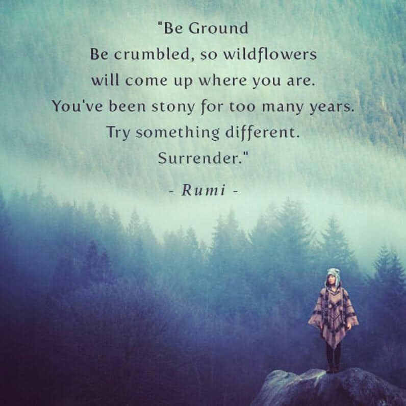 Be Ground Be crumbled, so wildflowers will come up where you are. You’ve been stony for too many years. Try something different surrender.