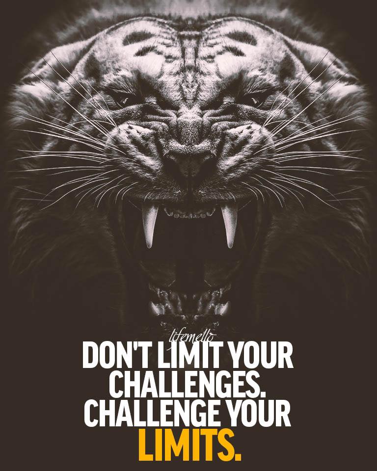 Don’t limit your challenges challenge your limits.