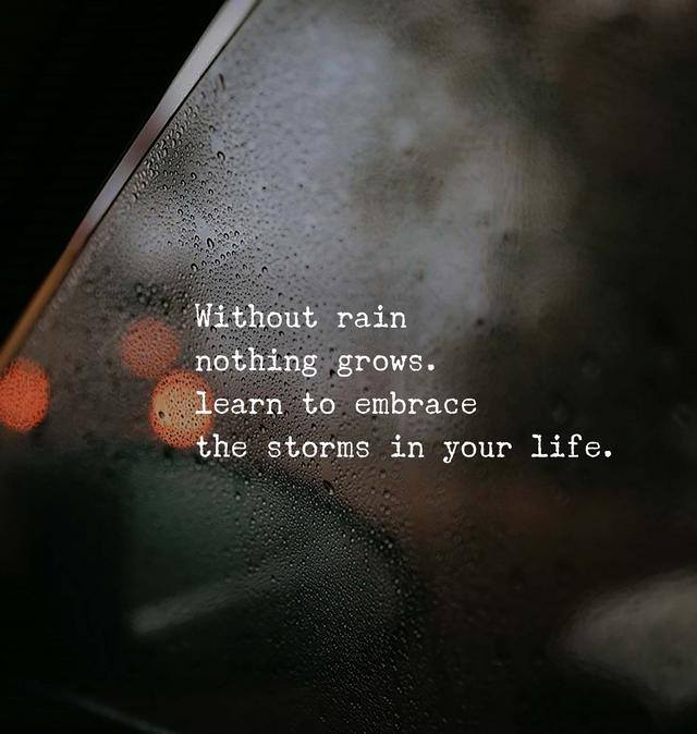 Without rain, nothing grows, learn to embrace the storms of your life.
