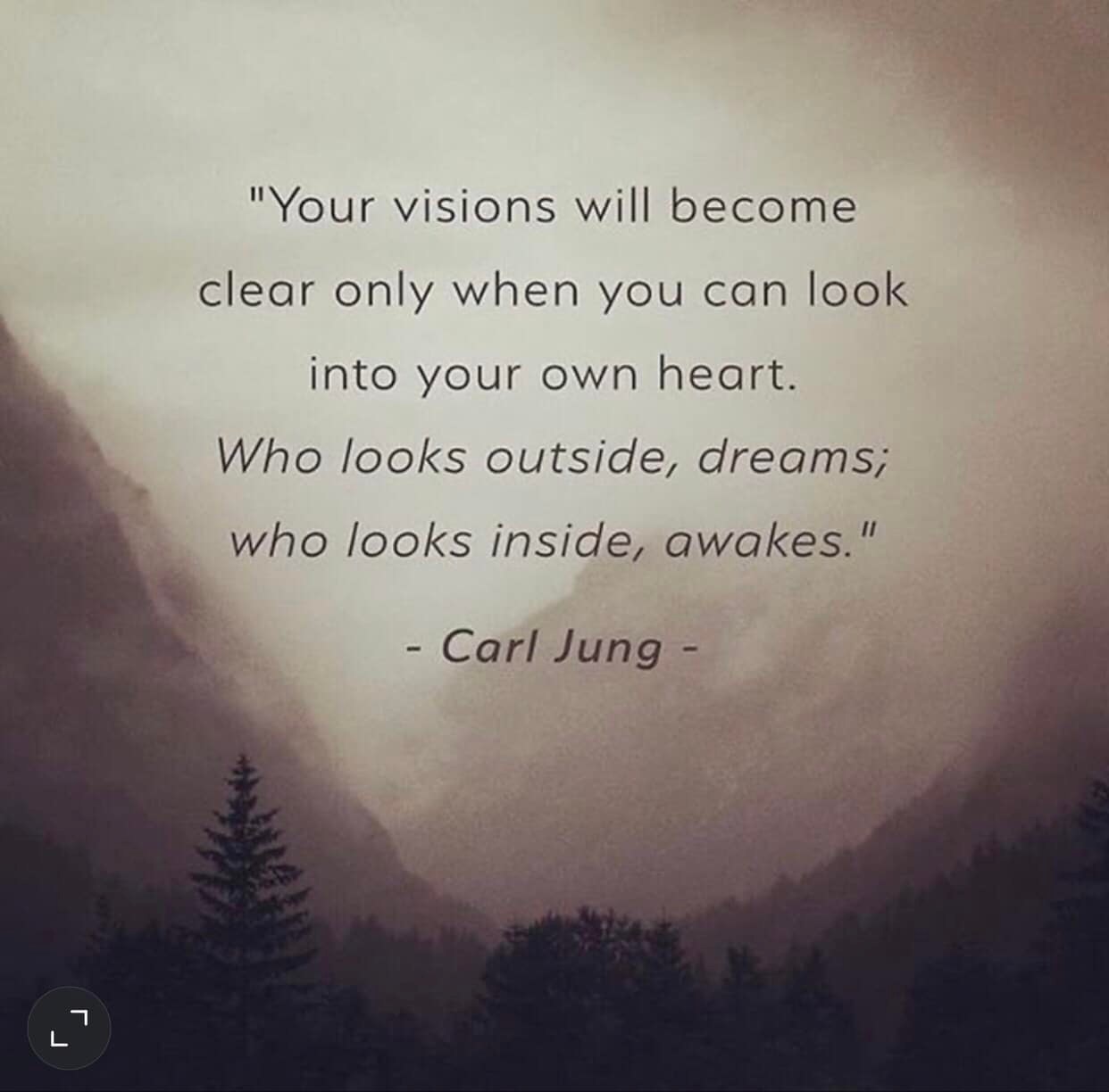 Your vision will become clear only when you look into your heart. Who looks outside, dreams. Who looks inside awakens.