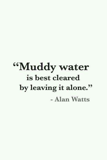 Muddy water is best cleared by leaving it alone. – Alan Watts
