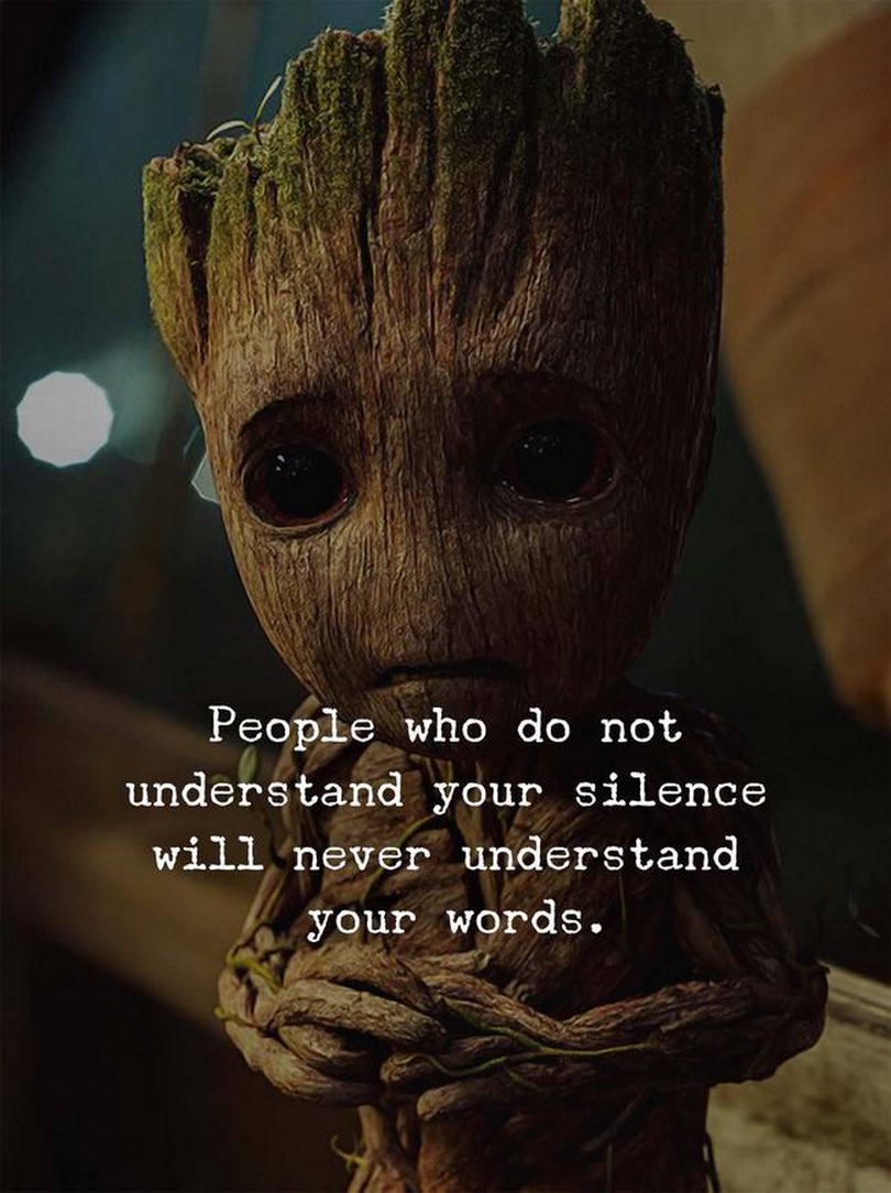 People who do not understand your silence will never understand your words.