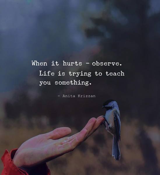 When it hurts, observe, life is trying to teach you something.