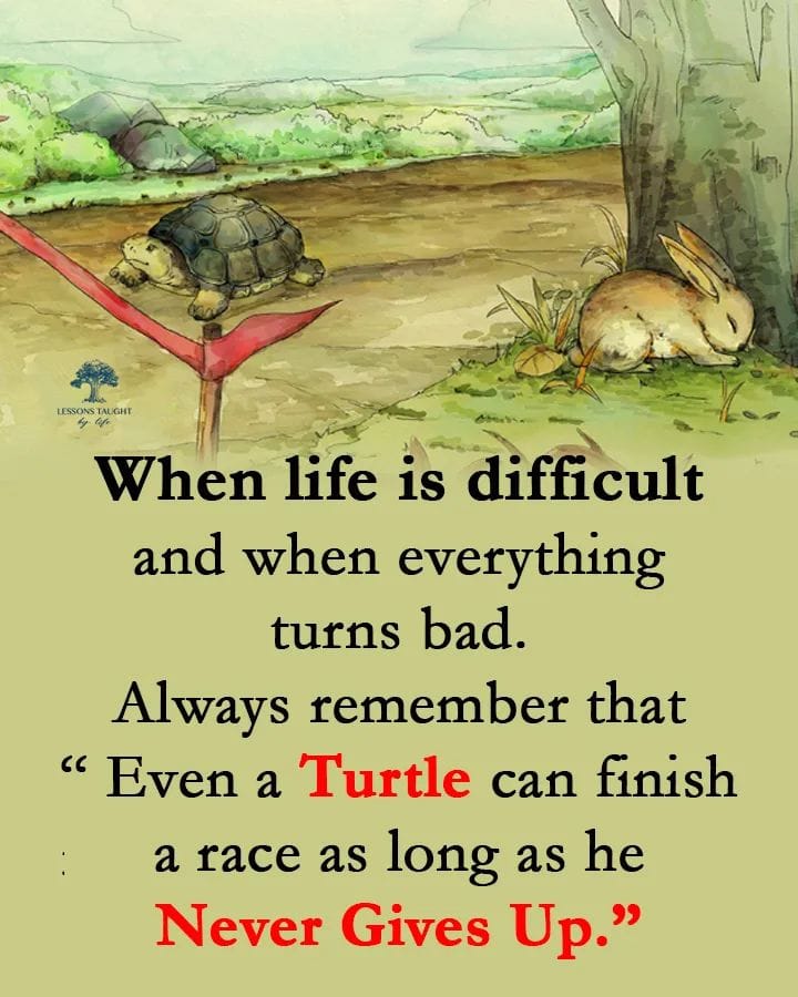 When life is difficult and when everything turns bad, always remember that “Even TURTLE can finish a race as long as he NEVER GIVES UP.”
