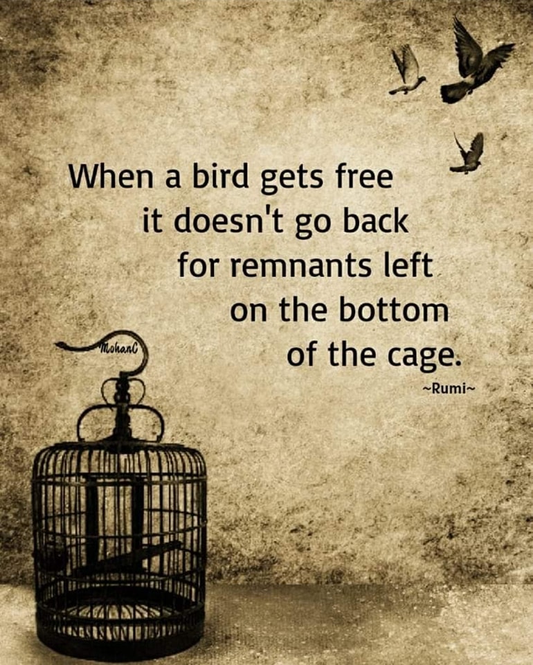 When a bird gets free, it doesn’t go back for remnants left on the bottom of the cage.
