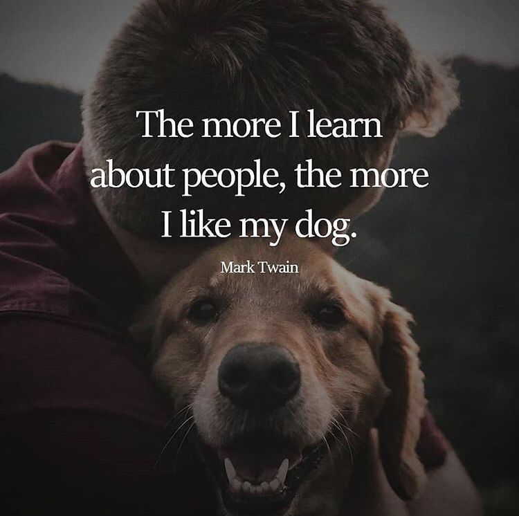 The more I learn about people, the more I like my dog.